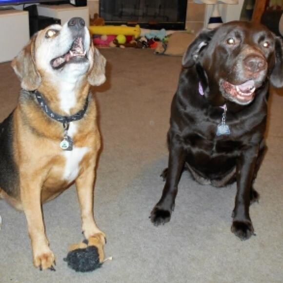 Lexi and Lily