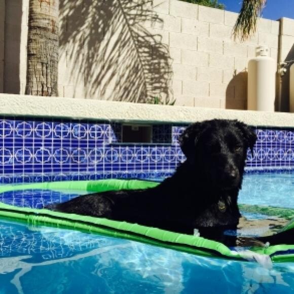 Or lounging in the pool!