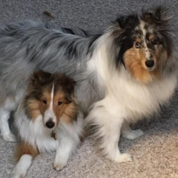 Drogo growing up and playing under his big sister, Khaleesi