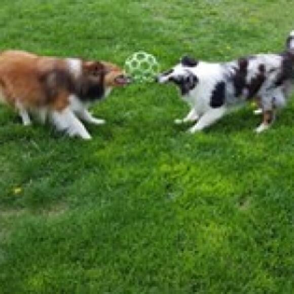 Fun games.