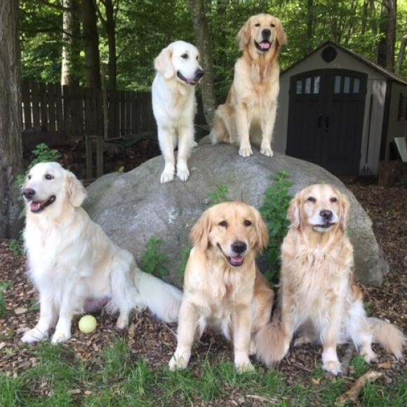 Five Golden Rings