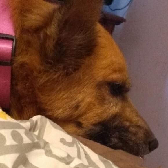 sleeping but listening