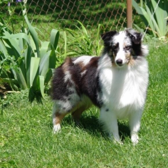 Poppy, 1 year