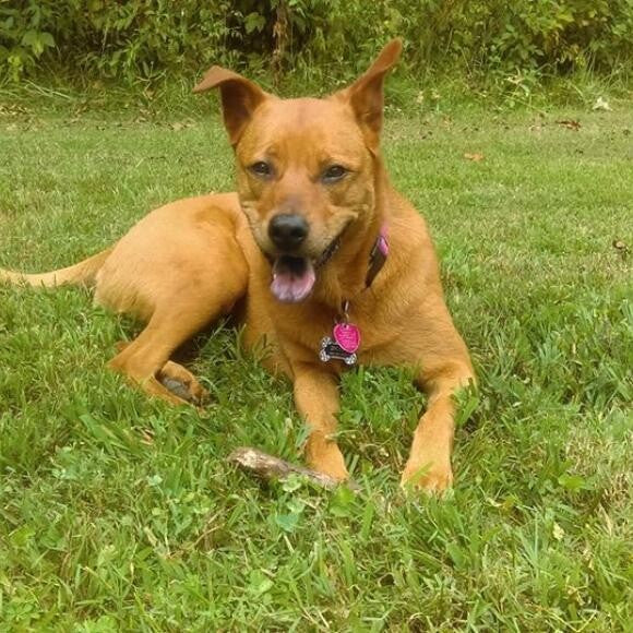 PuppyandCompany.com's Co-Founder, Jelly Bean Rhodes