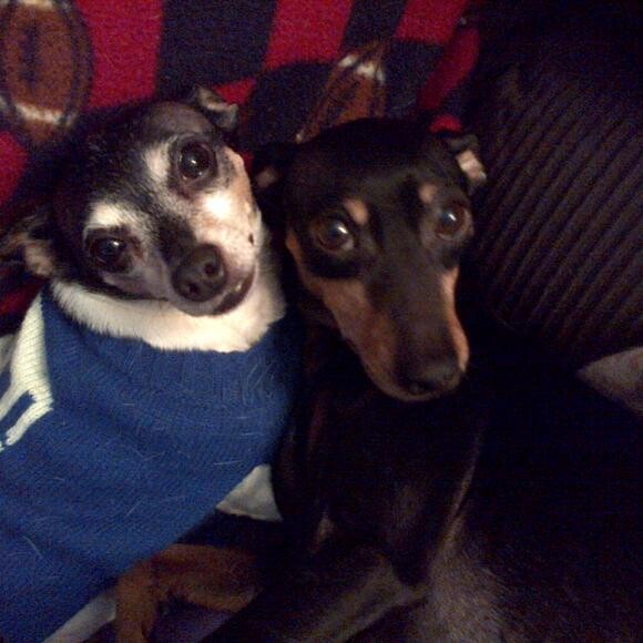 Tank (L) & Moose (R)
