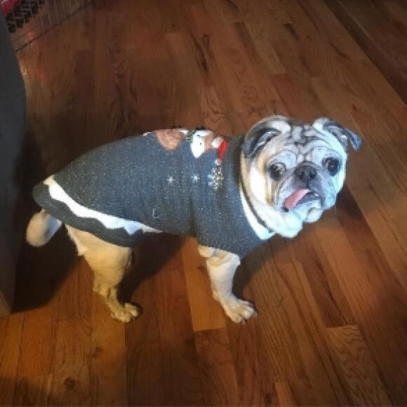 December 2017 - She hovers between 16.5 and 17 pounds now!