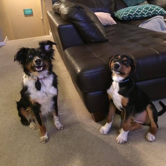 Remy's Story