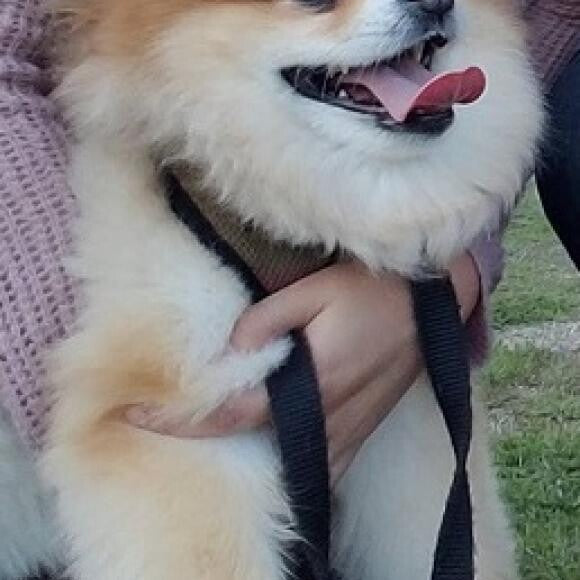 Penny