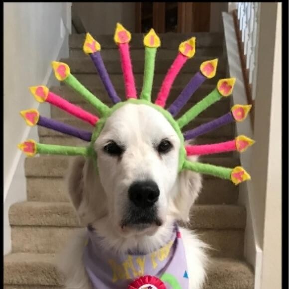 Aly is THREE!!
