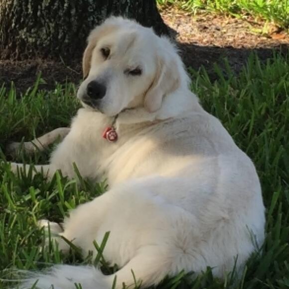 Relaxing in the sunshine