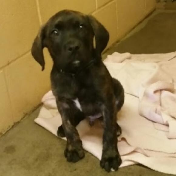 This was Camo in the shelter