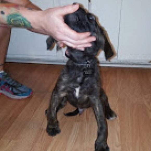 His legs were undeveloped when we got him