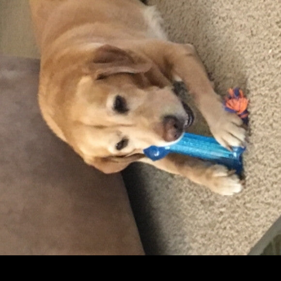 Looks who is playing like a puppy again.