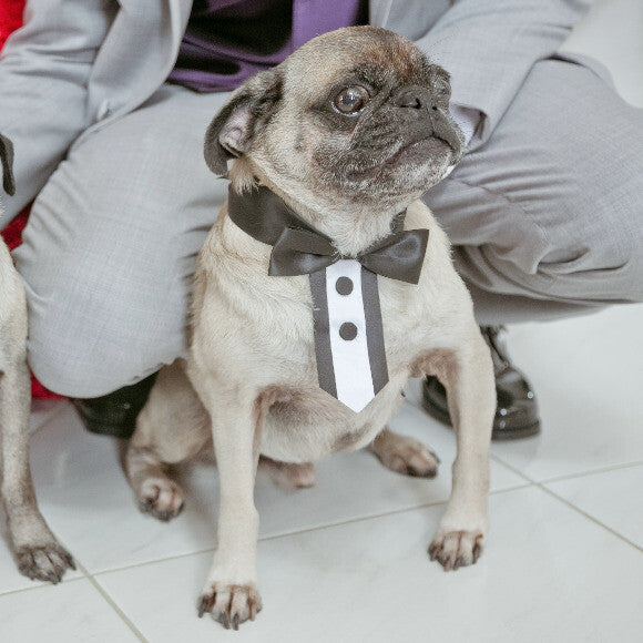 I look good in formalwear.