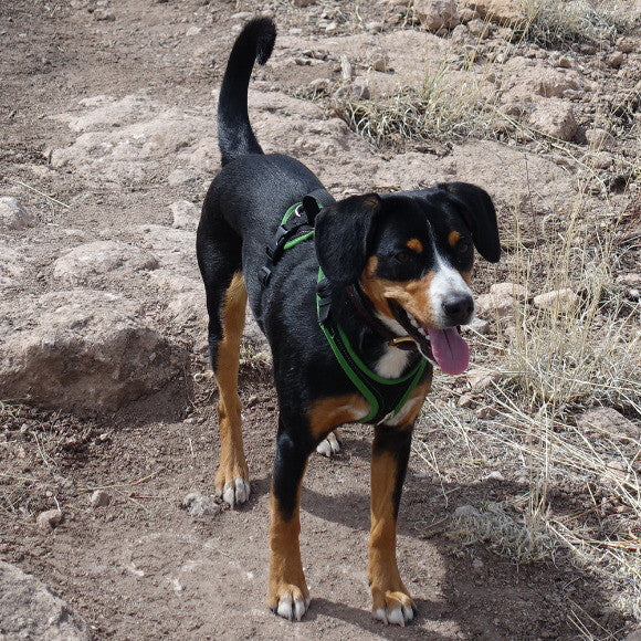 Luna Hiking