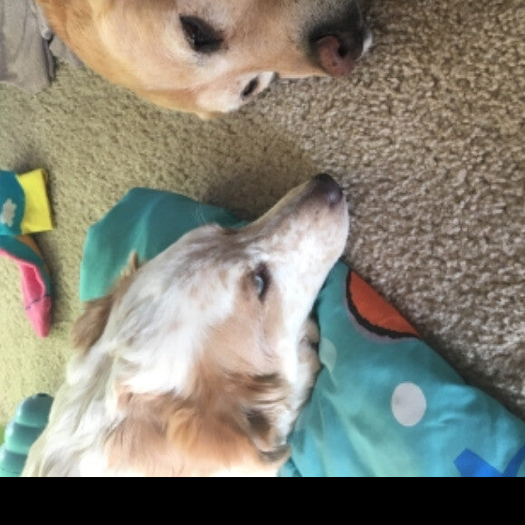 Dakota with little sister Meadow.