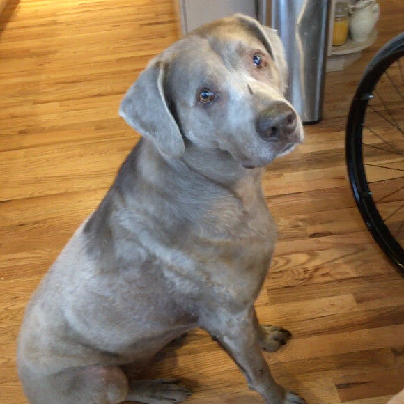 Mr. Big after losing 20 lbs