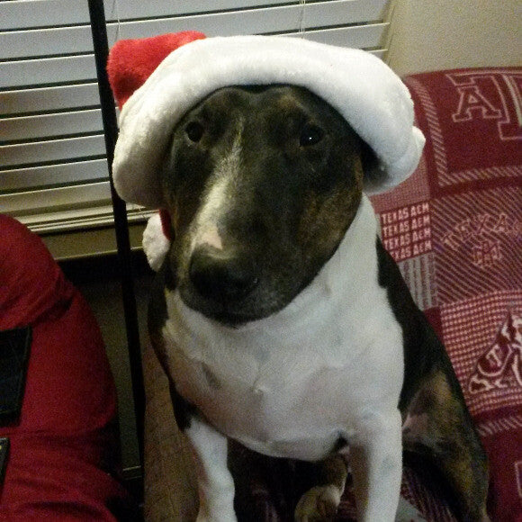 HoHoHo mom.... Now take this of.