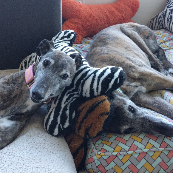 Nap time snuggles.