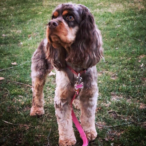 Lucy!