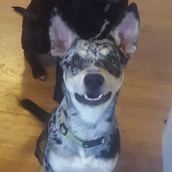 He always looks like he is smiling.