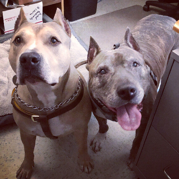 Thor & Bahjya