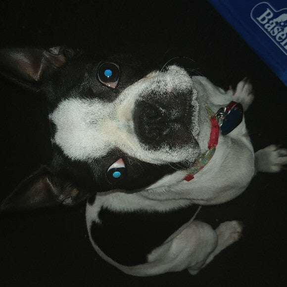 Roxie