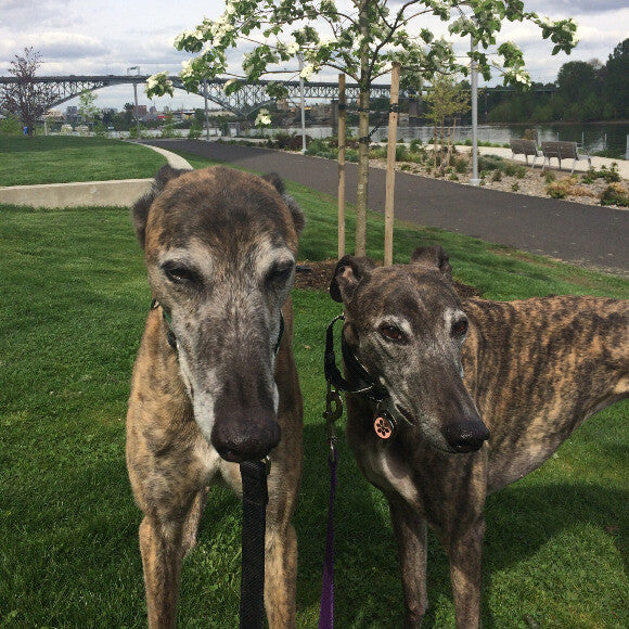 Walking by the river.