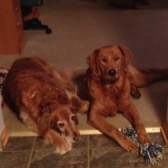 Rascal and Rocky