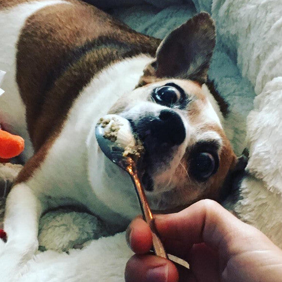 THK taste test - as you can see, she was crazy about it, lol! Success!