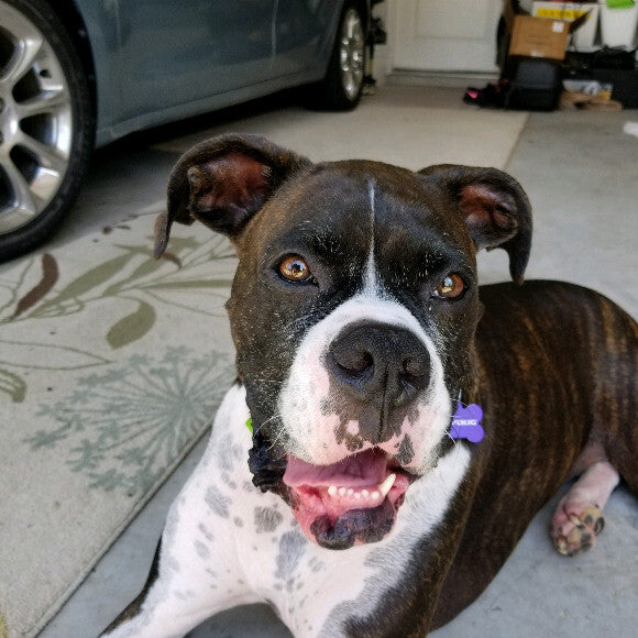 Healthy 6 and 1/2 year old boy with TONS of energy