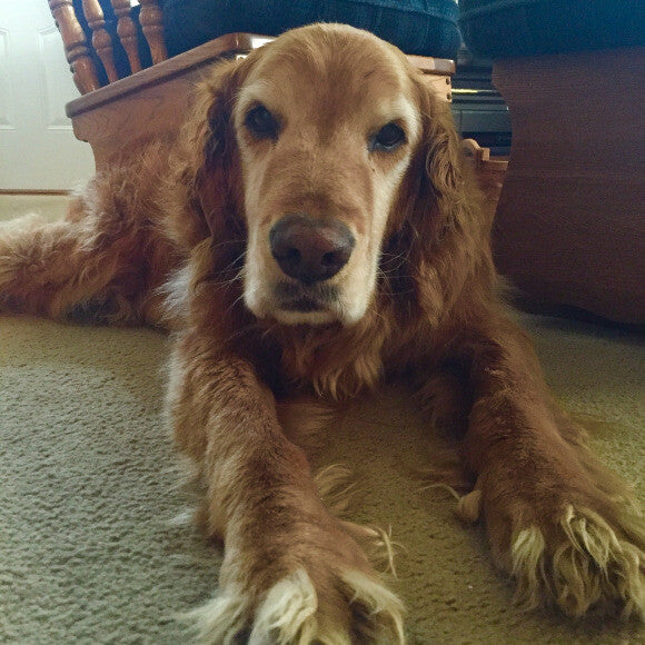 My Rascal Boy!