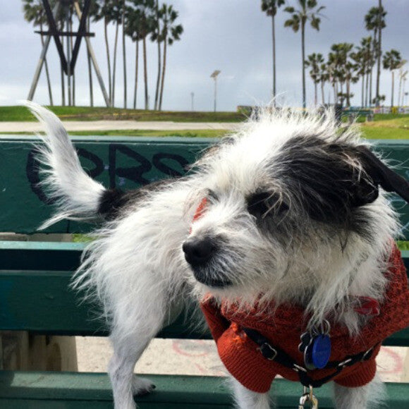 Steve at the beach.