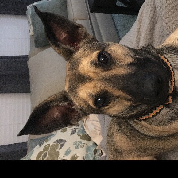 My boy Rio