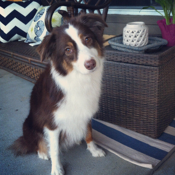 Layla on her 5th birthday