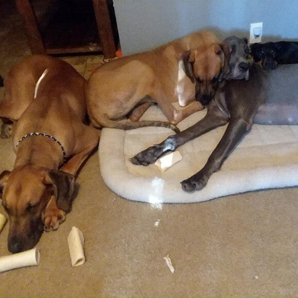 Enjoying a nap with his siblings