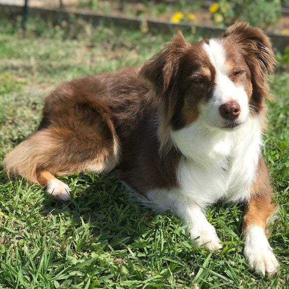 Sunbathing Goddess - 9 yrs old