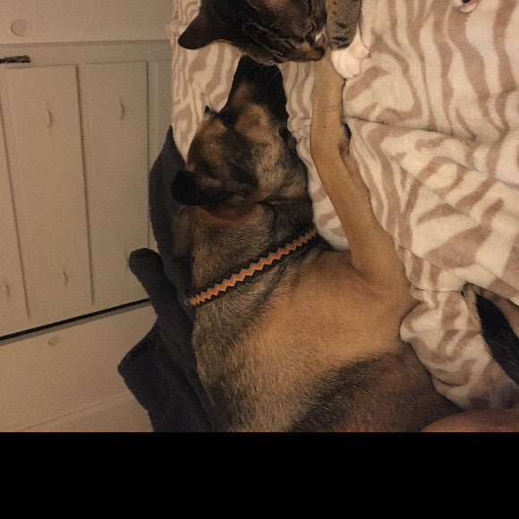 Rio & his BFF