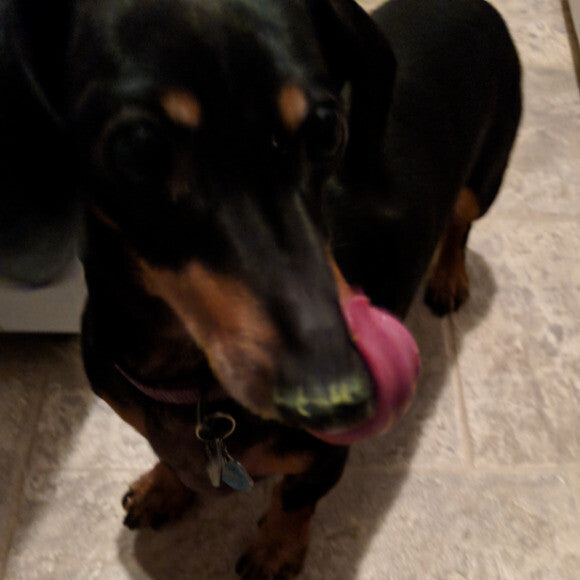 delicious! Can I have more?