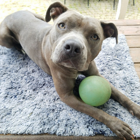 Who wants to play?