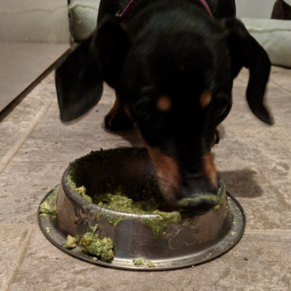 Our messy little eater.