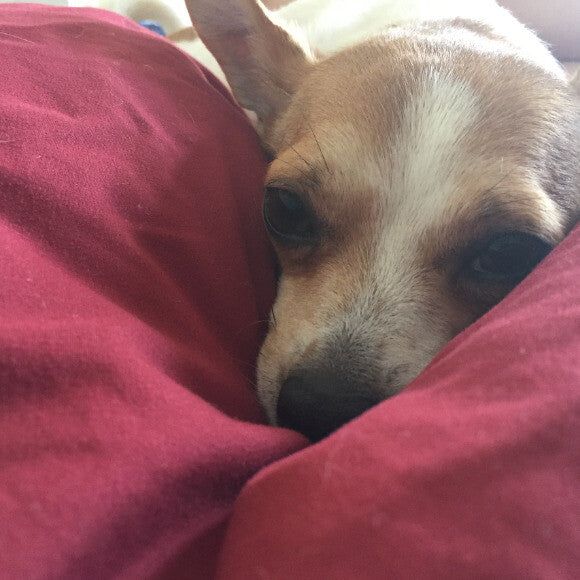 ...and we are so happy his seizures have gone away.