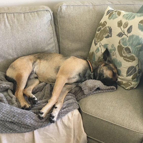 Passed out after playing