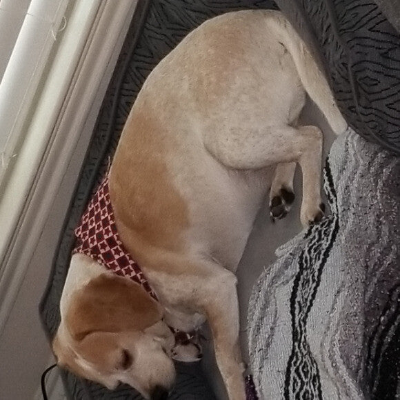 Nap-Time.