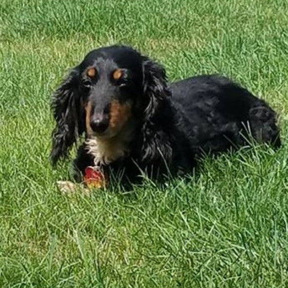 My sun bathing Handsome