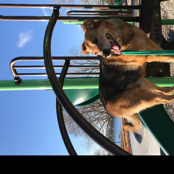Full of energy at 11