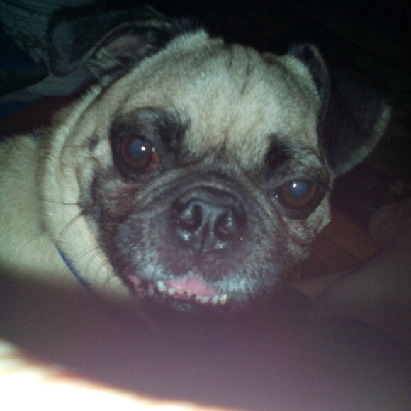This is when I first got Demonic Georgie.