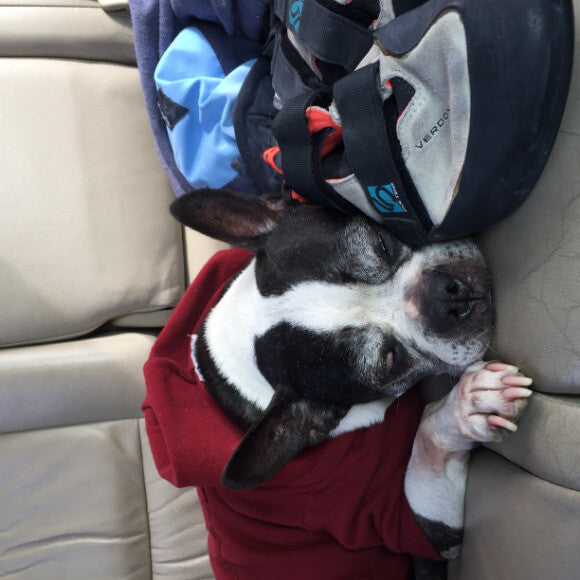 Fart-free road trips!