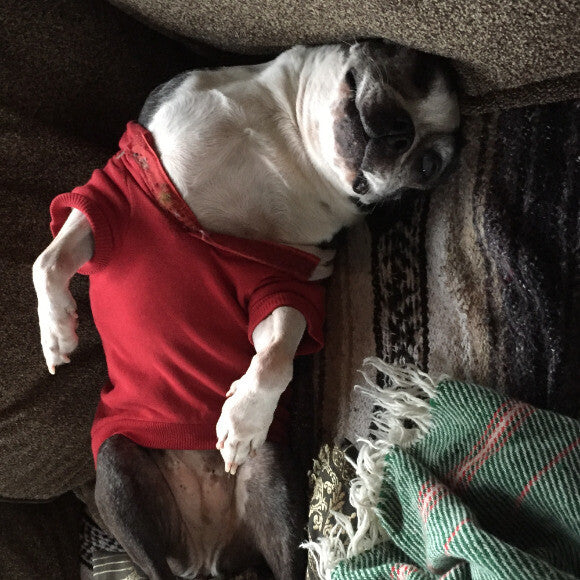 Naps without neck pain!