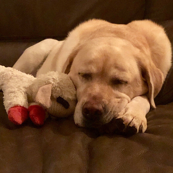 Miss Lilly